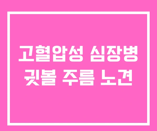 고혈압성 심장병 귓볼 주름 노견