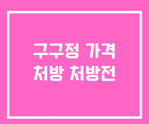 구구정 가격 처방 처방전