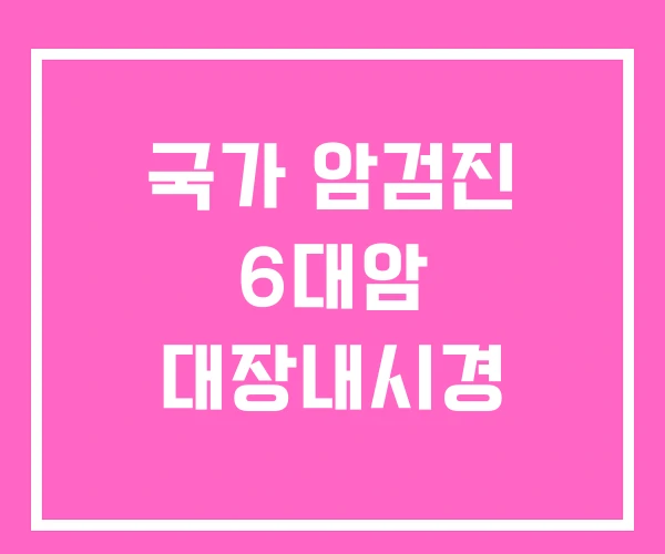 국가 암검진 6대암 대장내시경 국가 암검진 6대암 대장내시경