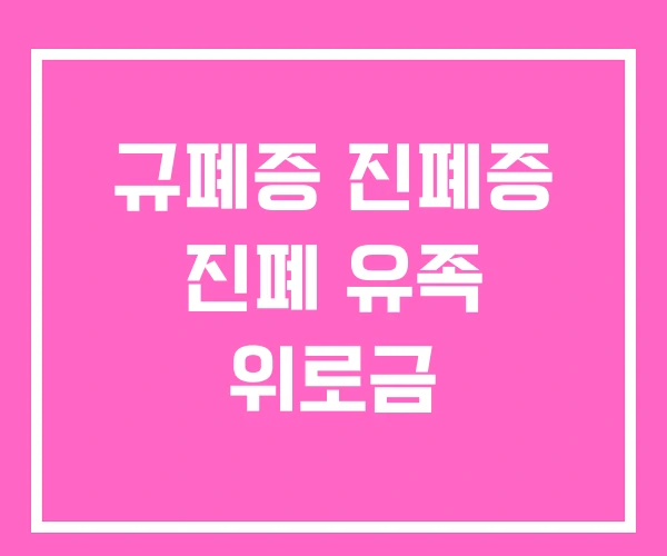 규폐증 진폐증 진폐 유족 위로금 규폐증 진폐증 진폐 유족 위로금