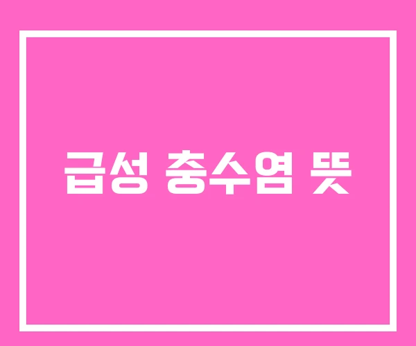 급성 충수염 뜻 급성 충수염 뜻