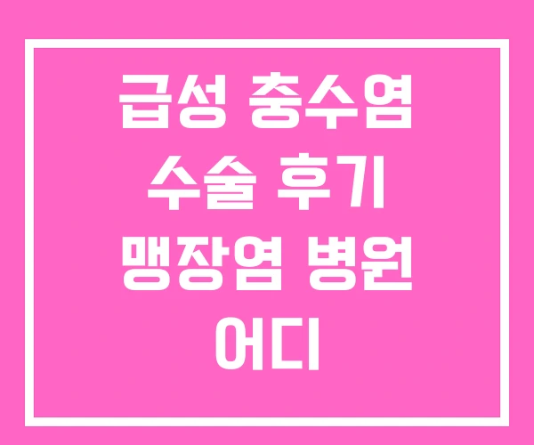 급성 충수염 수술 후기 맹장염 병원 어디