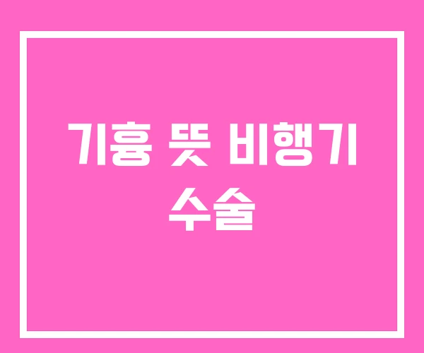 기흉 뜻 비행기 수술 기흉 뜻 비행기 수술