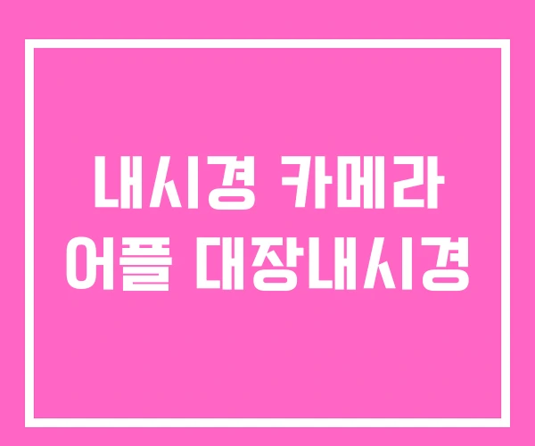 내시경 카메라 어플 대장내시경