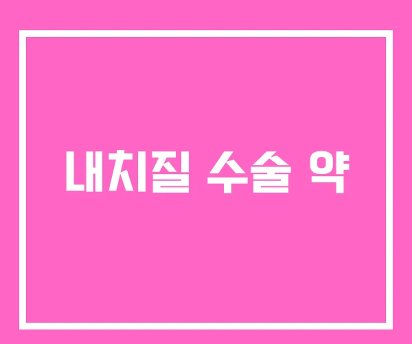 내치질 수술 약