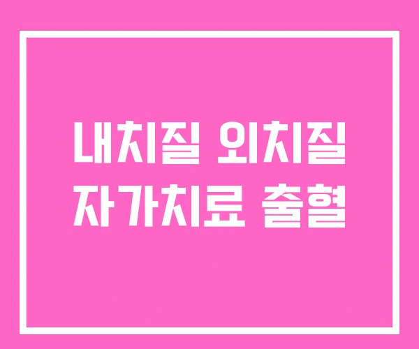 내치질 외치질 자가치료 출혈 내치질 외치질 자가치료 출혈