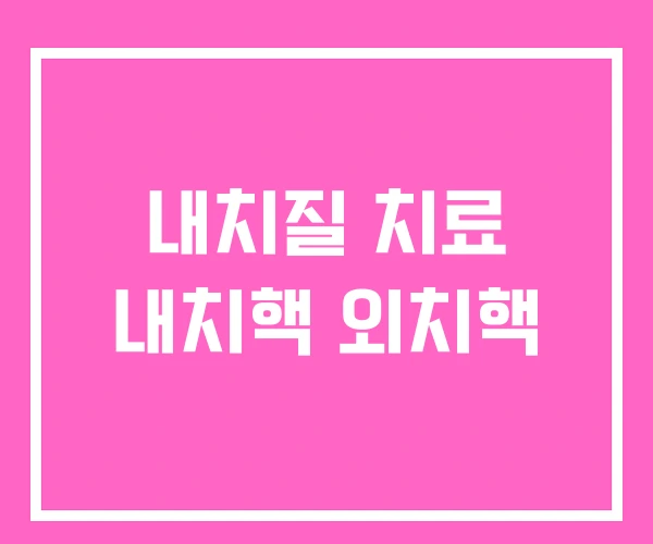 내치질 치료 내치핵 외치핵 내치질 치료 내치핵 외치핵