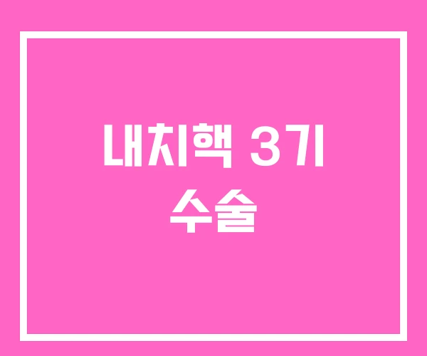 내치핵 3기 수술