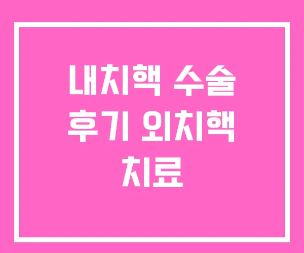 내치핵 수술 후기 외치핵 치료