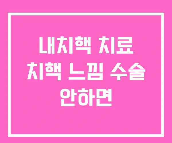 내치핵 치료 치핵 느낌 수술 안하면