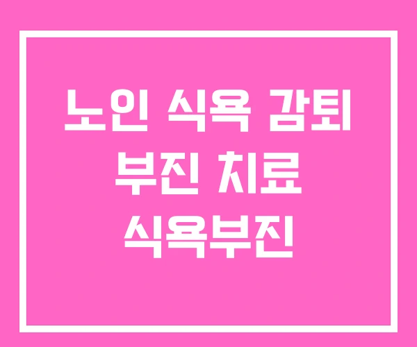 노인 식욕 감퇴 부진 치료 식욕부진
