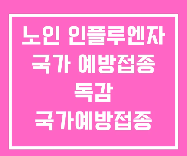 노인 인플루엔자 국가 예방접종 독감 국가예방접종 노인 인플루엔자 국가 예방접종 독감 국가예방접종