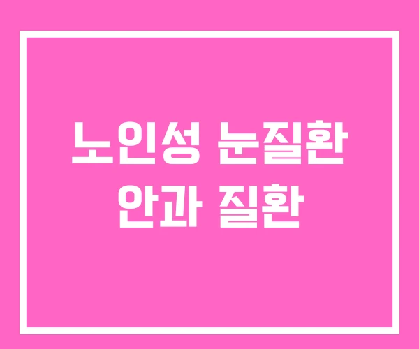 노인성 눈질환 안과 질환 노인성 눈질환 안과 질환