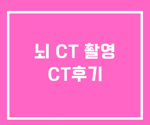 뇌 CT 촬영 CT후기