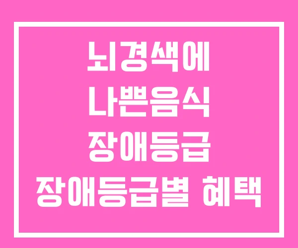 뇌경색에 나쁜음식 장애등급 장애등급별 혜택