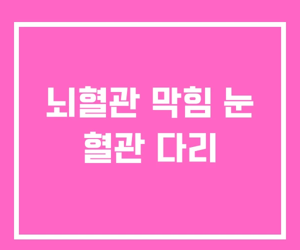 뇌혈관 막힘 눈 혈관 다리 뇌혈관 막힘 눈 혈관 다리