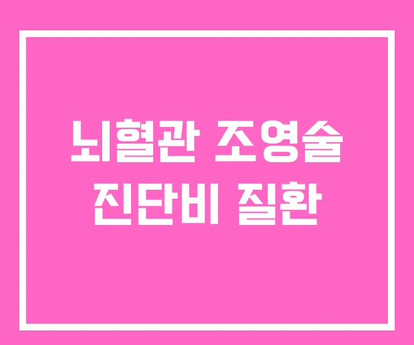 뇌혈관 조영술 진단비 질환