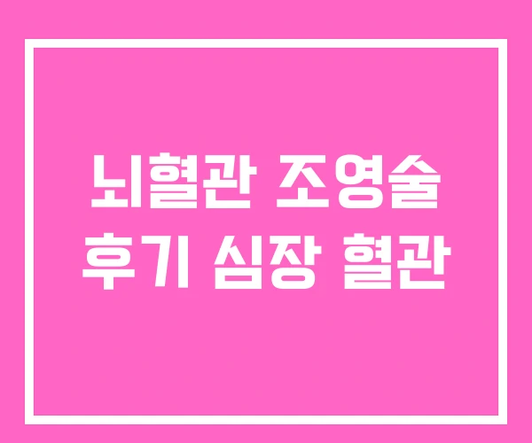 뇌혈관 조영술 후기 심장 혈관