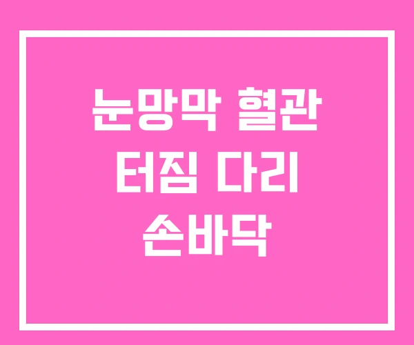 눈망막 혈관 터짐 다리 손바닥 눈망막 혈관 터짐 다리 손바닥