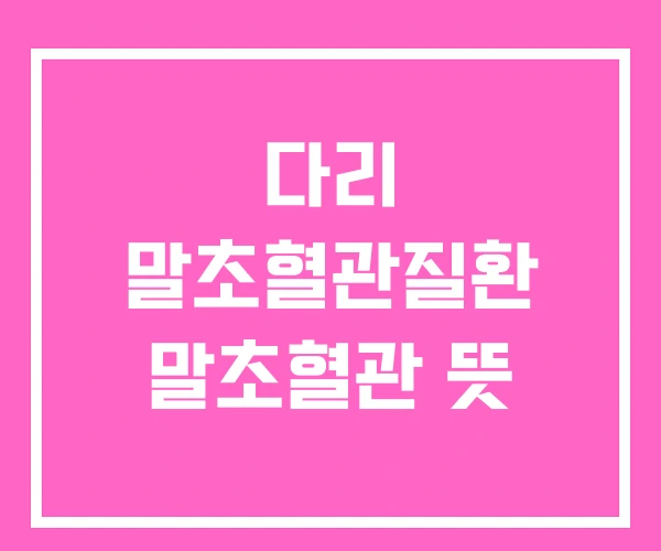 다리 말초혈관질환 말초혈관 뜻 다리 말초혈관질환 말초혈관 뜻