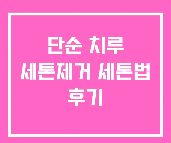 단순 치루 세톤제거 세톤법 후기