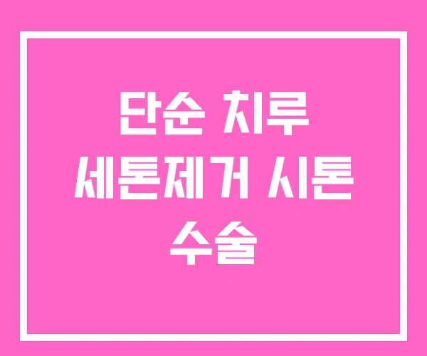 단순 치루 세톤제거 시톤 수술 단순 치루 세톤제거 시톤 수술