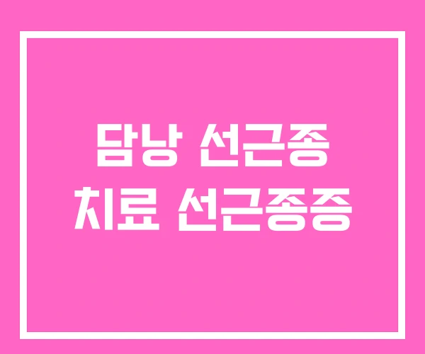 담낭 선근종 치료 선근종증