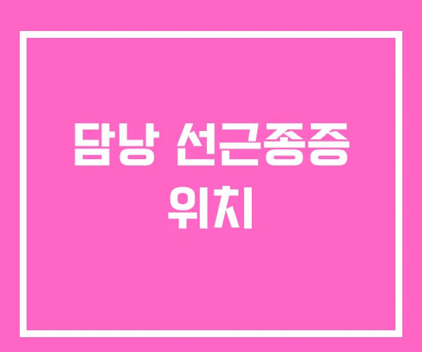 담낭 선근종증 위치 담낭 선근종증 위치