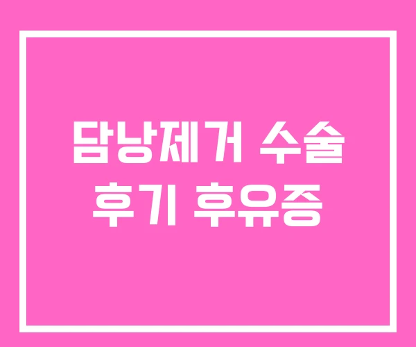 담낭제거 수술 후기 후유증 담낭제거 수술 후기 후유증
