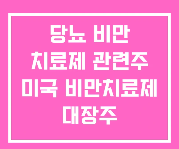 당뇨 비만 치료제 관련주 미국 비만치료제 대장주 당뇨 비만 치료제 관련주 미국 비만치료제 대장주