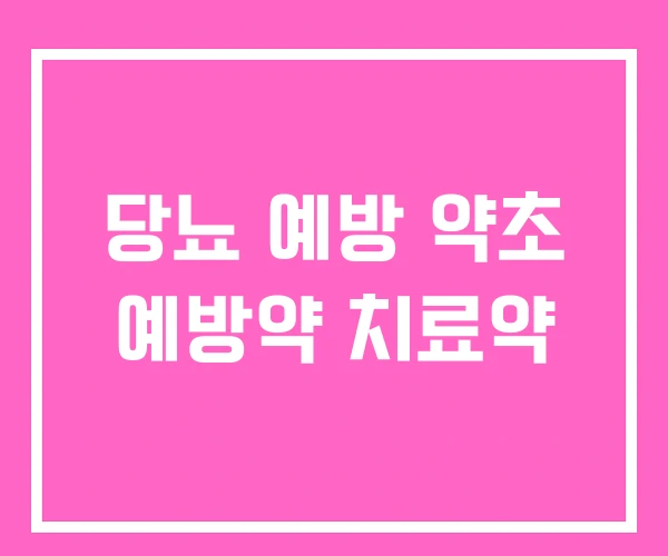 당뇨 예방 약초 예방약 치료약