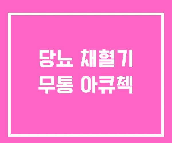 당뇨 채혈기 무통 아큐첵 당뇨 채혈기 무통 아큐첵
