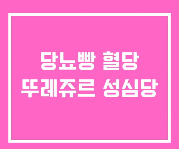 당뇨빵 혈당 뚜레쥬르 성심당