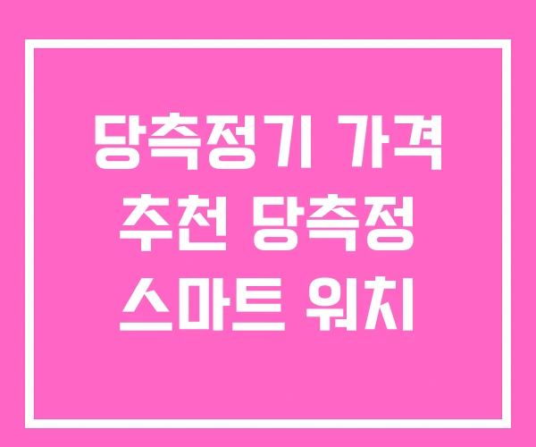 당측정기 가격 추천 당측정 스마트 워치