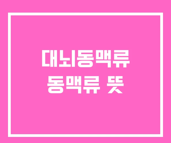 대뇌동맥류 동맥류 뜻 대뇌동맥류 동맥류 뜻