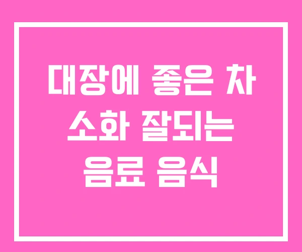대장에 좋은 차 소화 잘되는 음료 음식