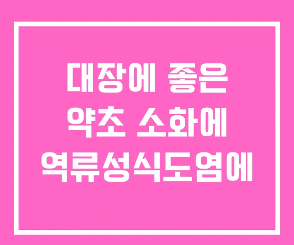 대장에 좋은 약초 소화에 역류성식도염에