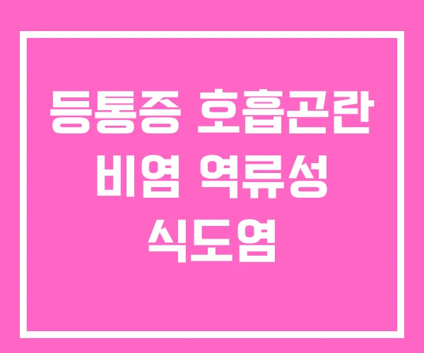 등통증 호흡곤란 비염 역류성 식도염