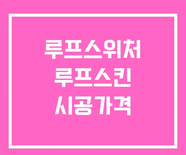 루프스위처 루프스킨 시공가격