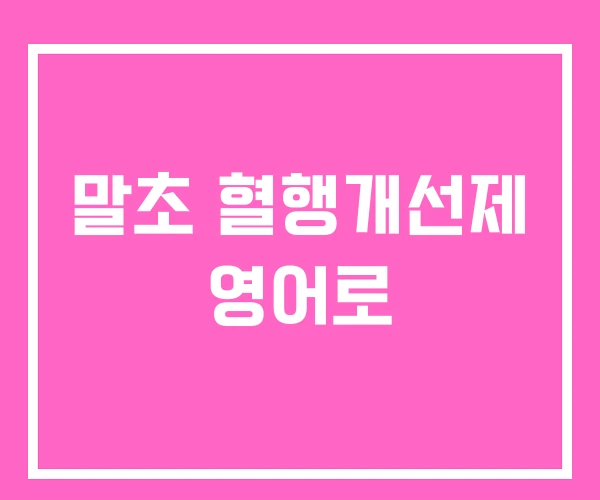 말초 혈행개선제 영어로