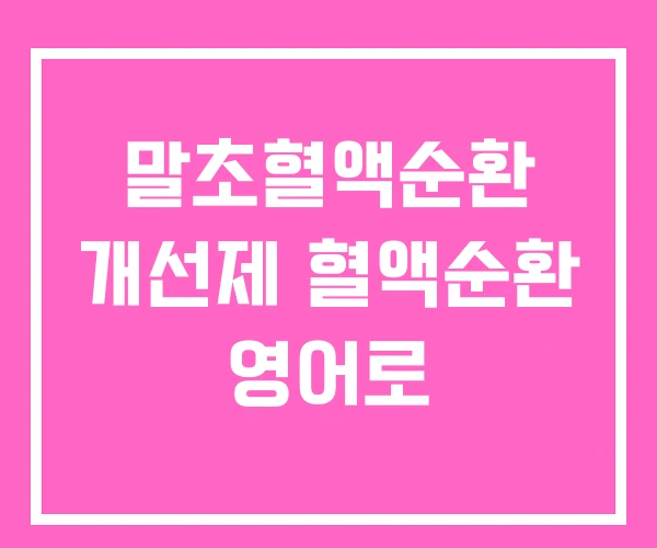 말초혈액순환 개선제 혈액순환 영어로