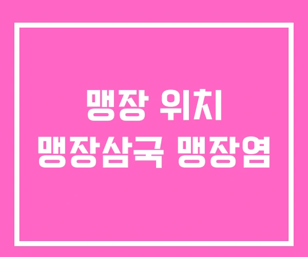 맹장 위치 맹장삼국 맹장염