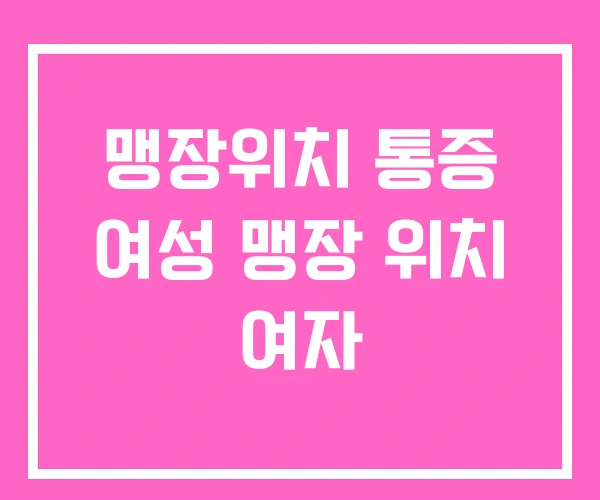 맹장위치 통증 여성 맹장 위치 여자