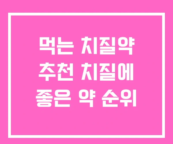 먹는 치질약 추천 치질에 좋은 약 순위