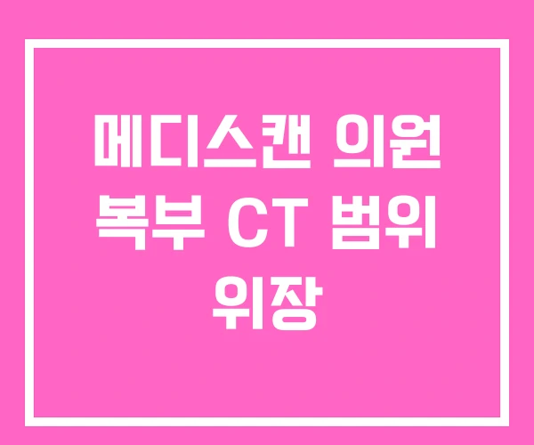 메디스캔 의원 복부 CT 범위 위장