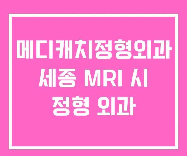 메디캐치정형외과 세종 MRI 시 정형 외과