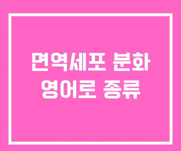 면역세포 분화 영어로 종류