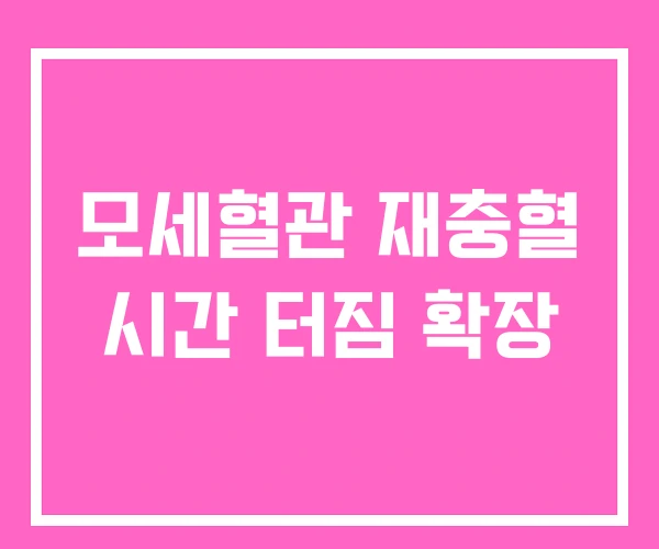 모세혈관 재충혈 시간 터짐 확장