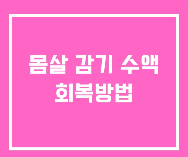 몸살 감기 수액 회복방법