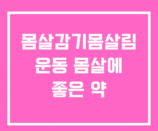 몸살감기몸살림 운동 몸살에 좋은 약